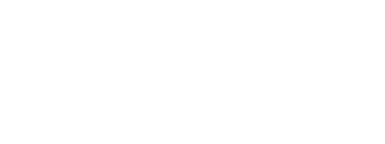 NIVO10